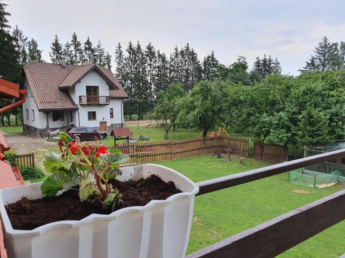 Kurnik Polski Agroturystyka Тыкоцин Экстерьер фото