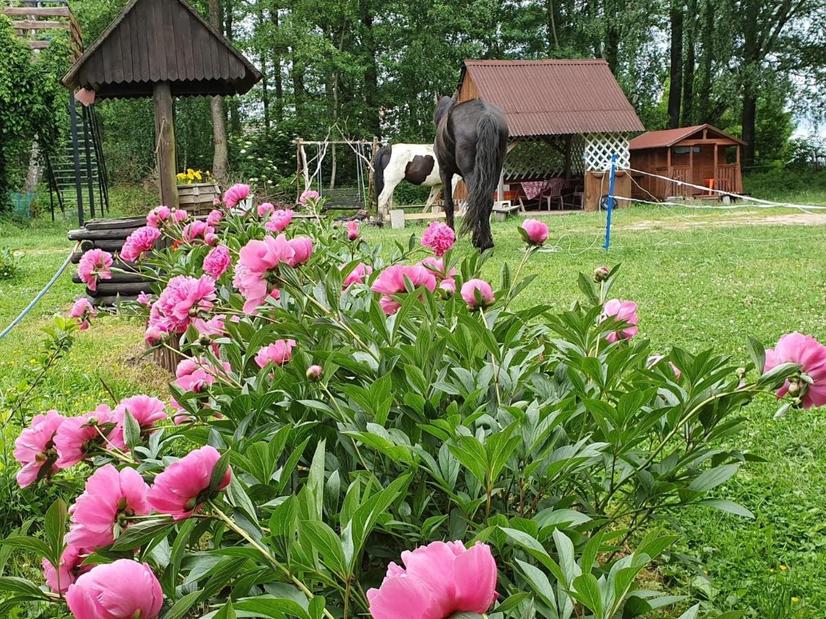 Kurnik Polski Agroturystyka Тыкоцин Экстерьер фото