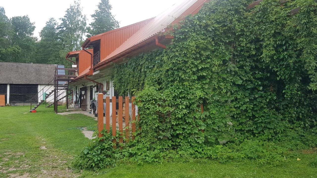 Kurnik Polski Agroturystyka Тыкоцин Экстерьер фото
