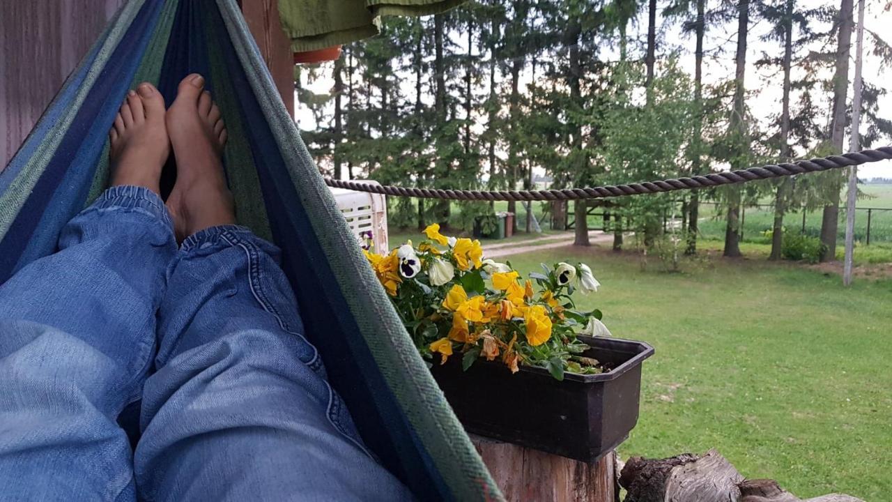 Kurnik Polski Agroturystyka Тыкоцин Экстерьер фото