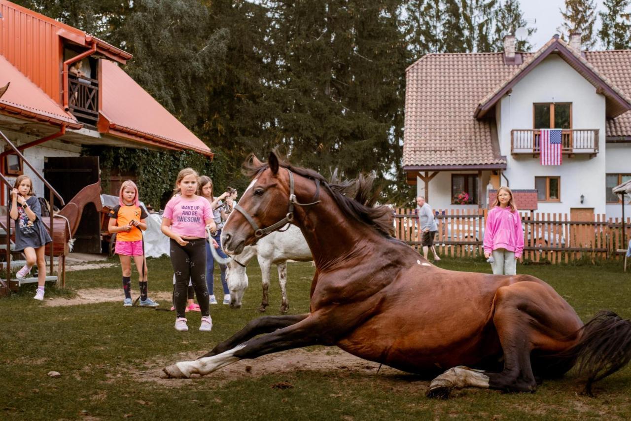 Kurnik Polski Agroturystyka Тыкоцин Экстерьер фото