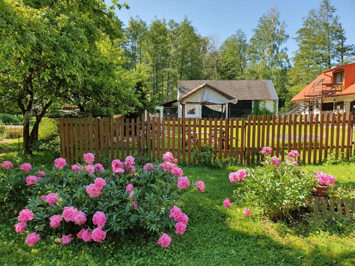 Kurnik Polski Agroturystyka Тыкоцин Экстерьер фото