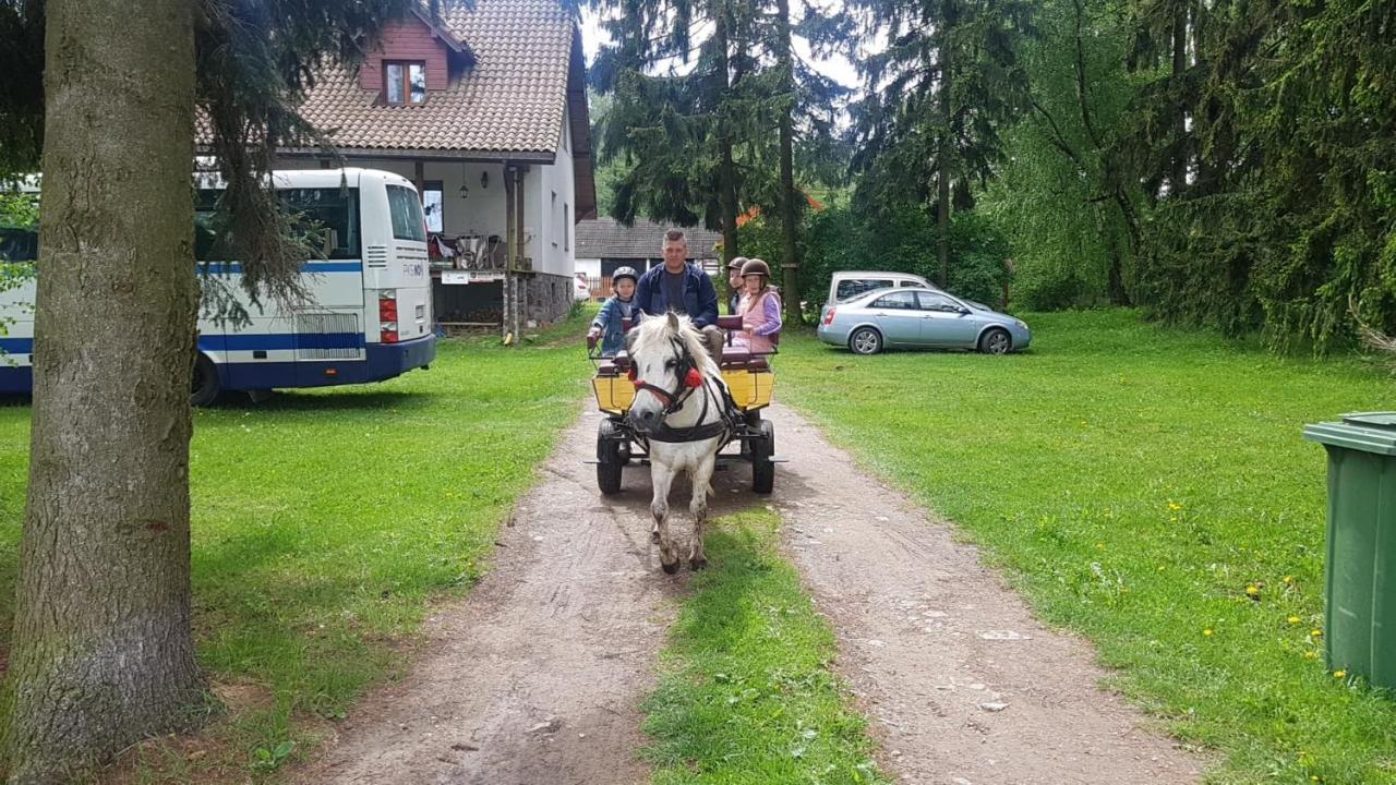 Kurnik Polski Agroturystyka Тыкоцин Экстерьер фото