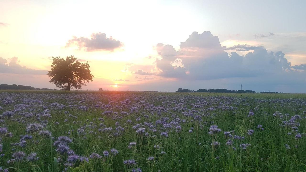 Kurnik Polski Agroturystyka Тыкоцин Экстерьер фото