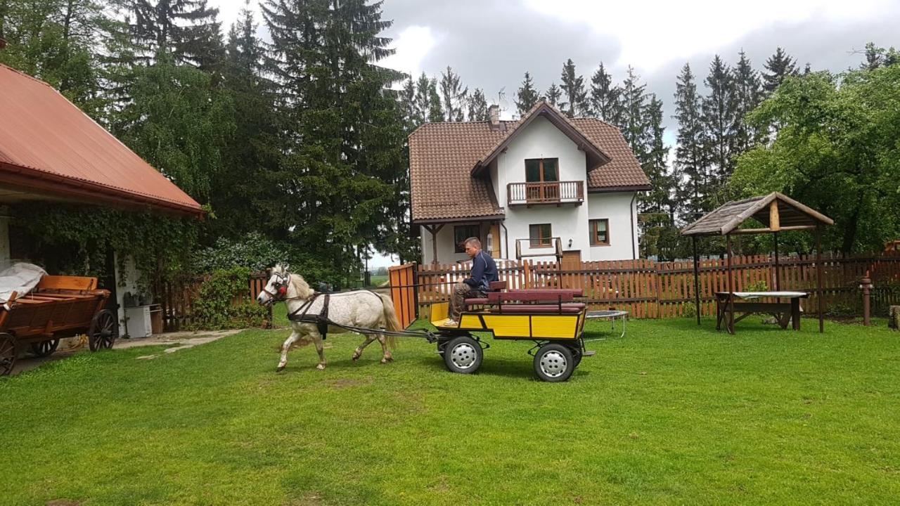 Kurnik Polski Agroturystyka Тыкоцин Экстерьер фото
